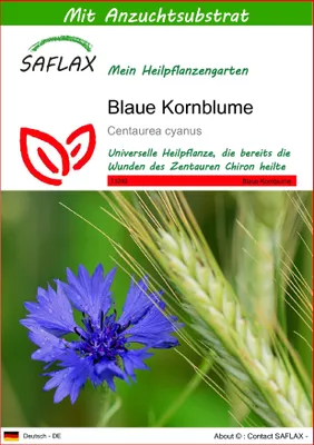 Produktbild von SAFLAX - Blaue Kornblume - Centaurea cyanus - 27000 Samen - Mit keimfreiem Anzuchtsubstrat