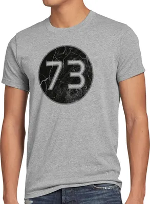Produktbild von style3 Sheldon Lieblingszahl 73 Herren T-Shirt