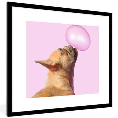 Produktbild von MuchoWow® Gerahmtes Poster Hund - Tiere - Kaugummi - Rosa 40x40 cm - Poster mit Schwarzem Bilderrahmen Wandposter Rahmen Foto Bilder - Poster - Plakat im Rahmen