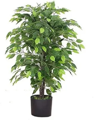 Image de Plante artificielle noire de 90 cm