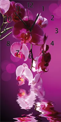 Produktbild von Wallario Design Wanduhr Rosafarbene Orchidee  Blüten in pink aus Echtglas, Größe 30 x 60 cm