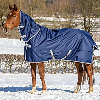 Produktbild von Bucas Outdoordecke 150g Freedom Turnout Full Neck Weidedecke Navy 155