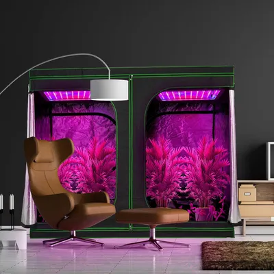 Image de Boîte de culture en intérieur