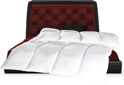 Image de Ensemble de lit - Garniture en duvet - 135x200cm + 80x80cm - 10% duvet / 90% plume