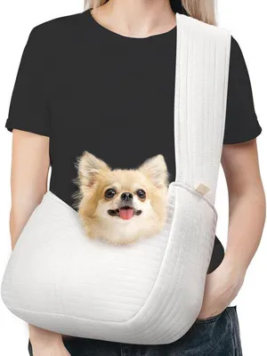 Produktbild von Famanu Hundetragetasche für Welpen und Katzen - Handfrei und komfortabel
