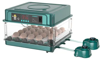 Zdjęcie produktu dla Automatyczny inkubator do jaj, z podwójnym zasilaniem, pojemność: 30 jaj