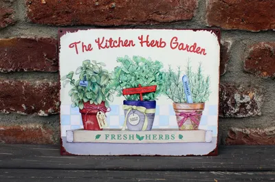 Produktbild von Shabby Blechschild Küchenkräuter