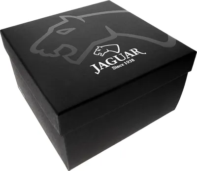 Obrázek produktu pro Stříbrné hodinky Jaguar J1009-4