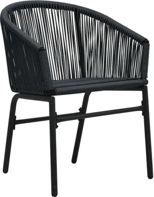 Image de vidaXL Chaises de jardin 2 pcs. noir rotin PE
