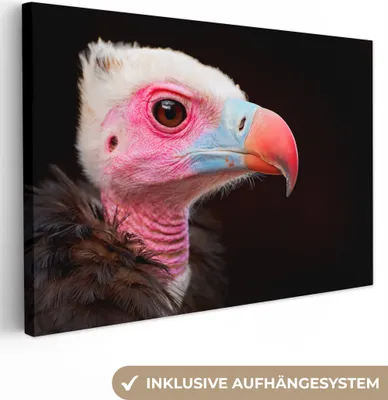 Obrázok produktu pre OneMillionCanvasses® - Obrazy na plátne - 140x90 cm, Vulture - Bird - Beak, Wall Art Print Nástenná dekorácia