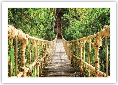 Produktbild von Poster - Poster ohne Rahmen - Brücke Seil Dschungel - 70x50 cm - Wand Bild - Wanddeko - Wandbilder - Kunstposter - Wandposter - Bilder - Kunstdruck - Wanddekoration - Wandbild - P2XAA70x50-4319