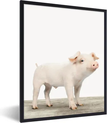 Produktbild von MuchoWow® Gerahmtes Poster Ferkel - Groß - Tiere - Rosa - Jungen - Mädchen - Kinder 60x80 cm - Poster mit Schwarzem Bilderrahmen Wandposter Rahmen Foto Bilder - Premium - Wanddeko Wohnzimmer