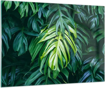 Produktbild von Bilder auf glas - Blume Natur - 100x70cm - Glasbilder - Wandbilder - Bilder - Kunstdruck - zum Aufhängen bereit - Wanddekoration aus Glas - Glas Bilder - Wandbild auf Glas - Einteilig - GAA100x70-3951