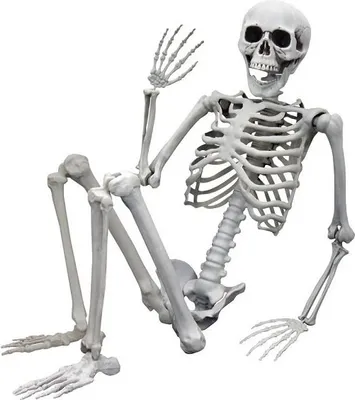 Immagine prodotto di MODELLO DI SCELTA UMANA HALLOWEEN 170 cm DECORAZIONI COSTUME