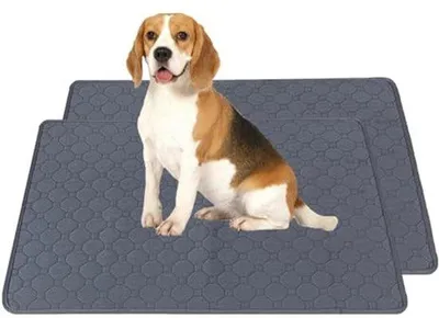 Immagine prodotto di Ultiluxe Teli assorbenti Lavabili per Cuccioli - Tappetino Addestramento per Animali Domestici - Riutilizzabile - Antiscivolo - 2 Pezzi - Grigio