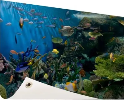 Produktbild von Gartenposter - 60x40 cm - Lebendige Unterwasserwelt  - Modernes Wandbilder