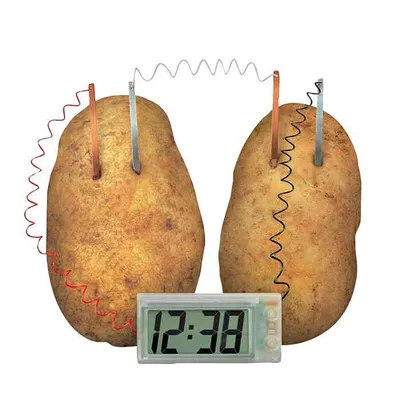 Immagine prodotto di 4M Kidzlabs GREEN SCIENCE: Kartoffeluhr / f r a n s t a l i g h Verpackung