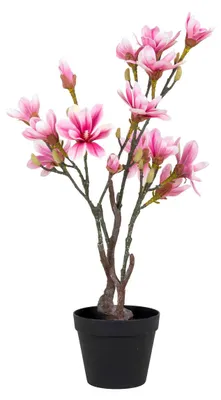 Imagen del producto de Magnolia artificial en flor Vikasa Home — H 75 cm