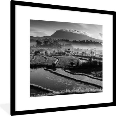 Produktbild von MuchoWow® MuchoWow® Gerahmtes Poster Indonesien - Reis - Schwarz - Weiß 40x40 cm - Poster mit zchwarzem Bilderrahmen - Poster - Plakat im Rahmen