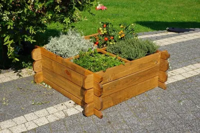 A wooden planter box filled with herbs and small tomato plants sits on a paved patio next to a garden.