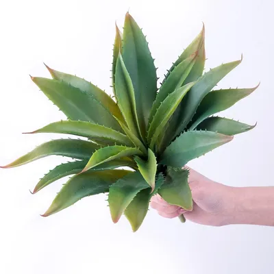 Obrázok produktu pre Umelá rastlina Sukulent Aloe Vera, 31,8 cm, Realistická, Zelená Dekorácia pre Interiér a Exteriér, Plastová