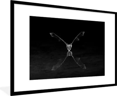 Produktbild von MuchoWow® Gerahmtes Poster Trinkende Fledermaus - schwarz und weiß 90x60 cm - Poster mit Schwarzem Bilderrahmen Wandposter Rahmen Foto Bilder - Wanddekoration - Fotos