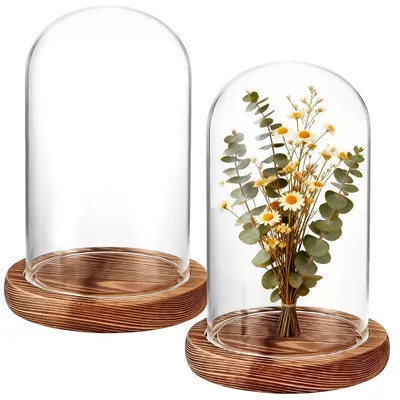 Glasglocke 2er-Set mit Holzfuß, 9x15 cm, transparent