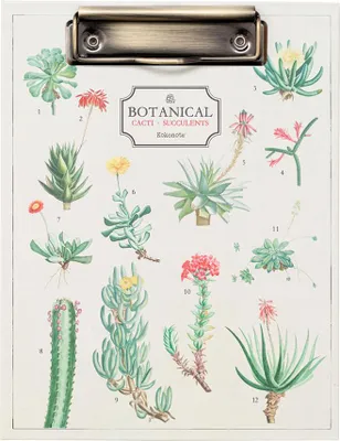 Zdjęcie produktu dla folder a5 z klipsem kaktusy botaniczne