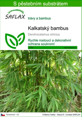 Obrázek produktu pro SAFLAX - kalkatský bambus - Dendrocalamus strictus - 50 Semena - S pěstebním substrátem bez klíčků