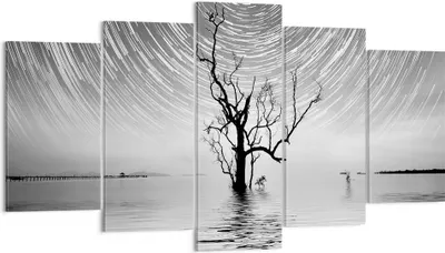Produktbild von Bild auf Leinwand - Leinwandbild - 5 Teile - Schwarzweiß Baum See - 160x85cm - Wand Bild - Wanddeko - Wandbilder - Leinwanddruck - Bilder - Wanddekoration - Leinwand bilder - Wandbild - EA160x85-4253