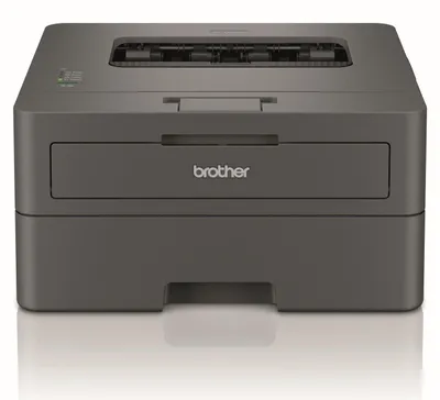 Immagine prodotto di Brother HL-L2402D laser printer 1200 x 1200 DPI A4