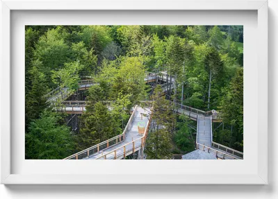 Produktbild von Ein Weg in Krynica Zdrój– Wandbild mit Rahmen – Gerahmtes Bild  – Wanddekoration – 60x40 cm –  Schwarz Rahmen