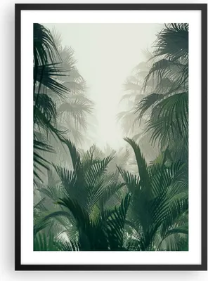 Produktbild von Gerahmtes Poster - Schwarzer Rahmen - Dschungel Blätter Palmen - 50x70 cm - Wand Bild - Wanddeko - Wandbilder - Kunstposter - Wandposter - Bilderrahmen - Bilder - Kunstdruck - P2BPA50x70-4504