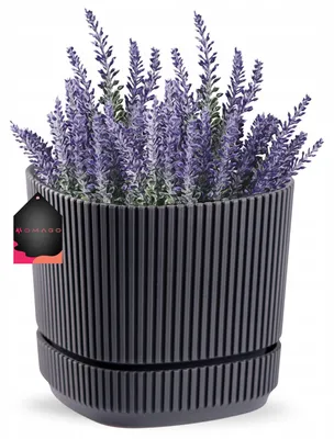 Produktbild von OMAGO Moderner Balkon Blumentopf Anthrazit mit Untersetzer