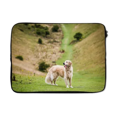 Produktbild von MuchoWow® Laptop Hülle 14 ZollSchönes Bild eines Golden Retrievers Laptoptasche - Laptoptasche - Stoßsicher - Schutzhaube