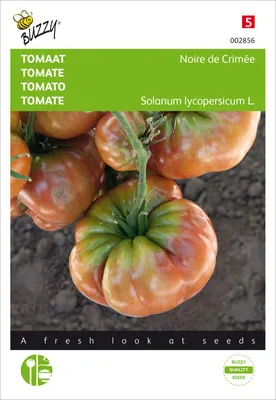 Produktbild von Tomate Noire de Crimée | Tomatensamen von Buzzy Seeds