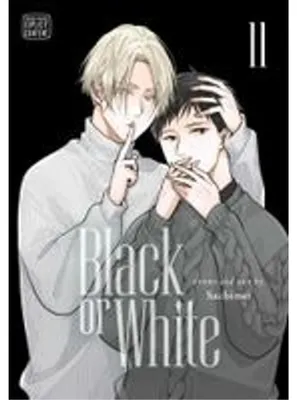 Produktbild von Black or White, Vol. 11