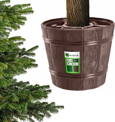 A Christmas tree stand with a tree trunk in it, next to a Christmas tree.