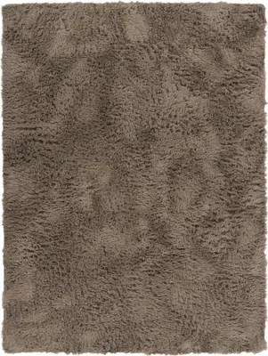 A close-up, top-down view of a fluffy, brown rug.