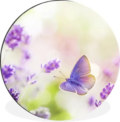 Produktbild von MuchoWow® Aluminium Wandkreis Lavendel - Schmetterling - Blumen Ø 90 cm Wanddeko Modern Wohnzimmer - Mauerkreis - Wandbilder - Runde Bild - Bild aus Aluminium - Schlafzimmer - Wohnzimmerdekoration - Wand Dekoration
