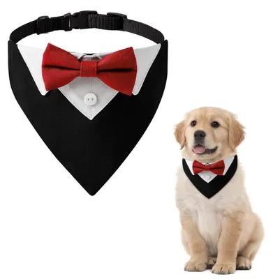 Produktbild von Solidchoice – Formelle rote Bandana mit Krawatte für Hunde