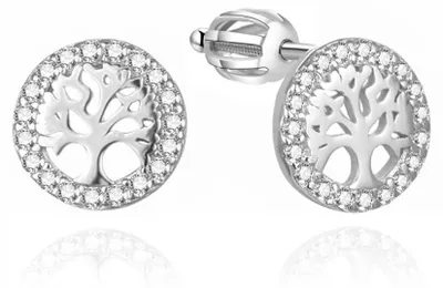 Immagine prodotto di Orecchini in argento con albero della vita AGUP3545S