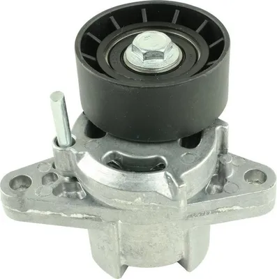 Produktbild von FAST FT44625 Spannrolle Keilrippenriemen für RENAULT CLIO II (BB0/1/2, CB0/1/2) KANGOO (KC0/1) KANGOO Express (FC0/1) Scénic I (JA0/1, FA0)