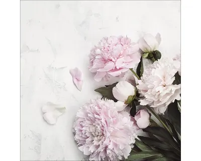 Produktbild von Glasbild Frühlingsblumen 20x20 cm