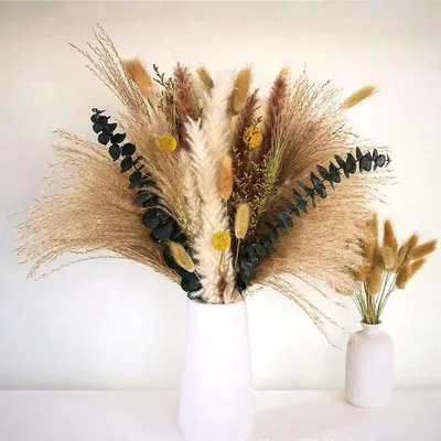 Produktbild von Getrocknetes Pampasgras 60 Stück natürliche Trockenblumen Dekoration DIY Trockenblumenstrauß, Pampasgrasstrauß Schilfblume Dekoration ideal für Boho Wohnzimmer Schlafzimmer und Vasen