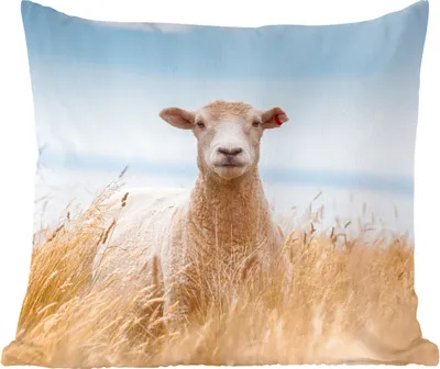 Produktbild von MuchoWow® Zierkissen Sofakissen Wohnzimmer Dekokissen 45x45 cm Schafe - Gras - Meer - Schlafpolster - Polster für das Sofa