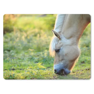 Produktbild von MuchoWow® Mauspad Mousepad Weidendes Fjordpferd an einem Sommertag 23x19 cm - Mousepads - Maus Mat - Pad - Mausunterlage - Schreibtischunterlage - Mauspad