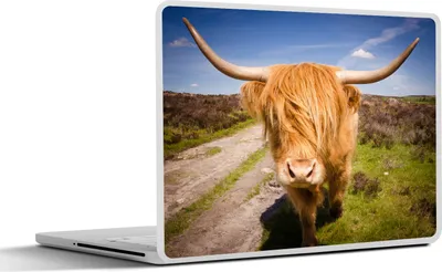 Produktbild von MuchoWow® Laptop Aufkleber Sticker Cover Schottisches Hochlandrind - Licht - Wiese 30x22 cm - Laptop-Sticker