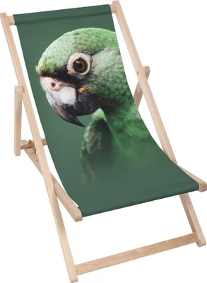 Produktbild von Dreamroots Liegestuhl klappbar Holz, Buchenholz bis zu 130 kg, Sonnenliege klappbar mit 3-stufiger Neigungsregulierung der Rückenlehne, Green Parrot