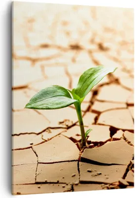 Produktbild von Bild auf Leinwand - Leinwandbild - Einteilig - Wüste Erde Umwelt - 50x70cm - Wand Bild - Wanddeko - Wandbilder - Leinwanddruck - Kunstdruck - Wanddekoration - Leinwand bilder - Wandbild - PA50x70-2173